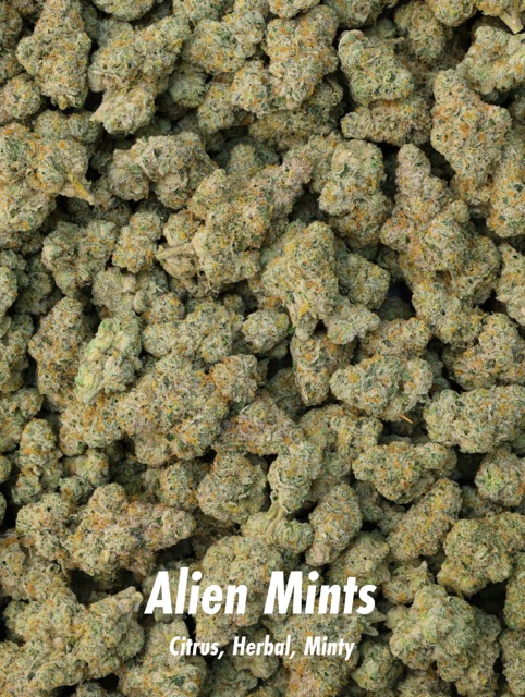 Premium medical-grade cannabis flower